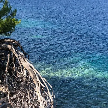 Apartman Villa Iva Lastovo *