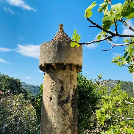 Lejlighed Iva Lastovo