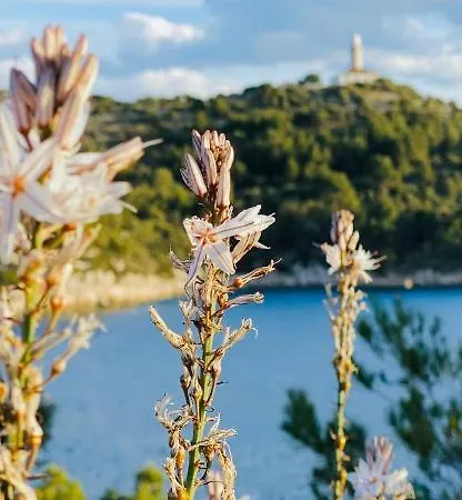Villa Iva Lastovo