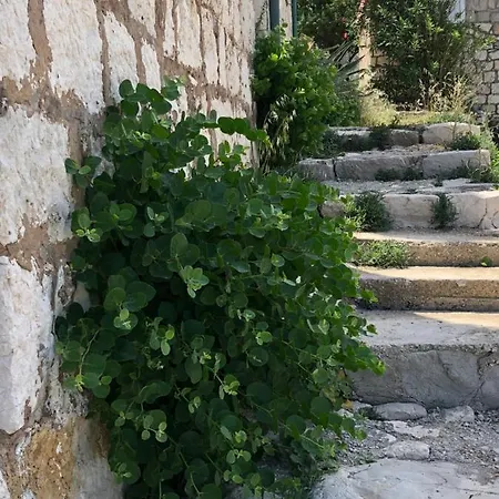 Villa Iva Lastovo Апартаменты *